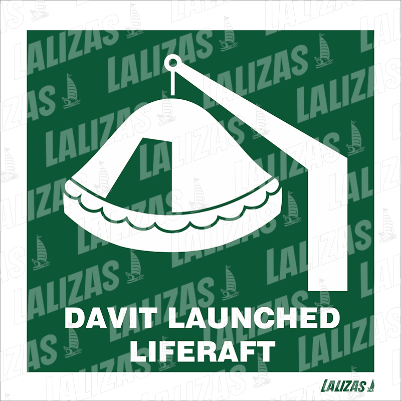Dav. Launched Life raft image