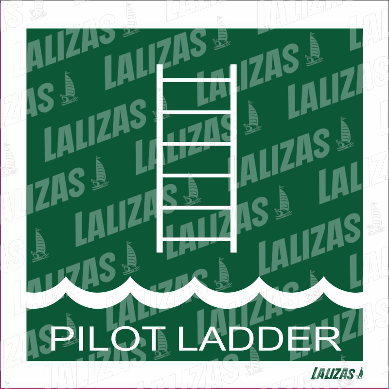 Pilot Ladder image