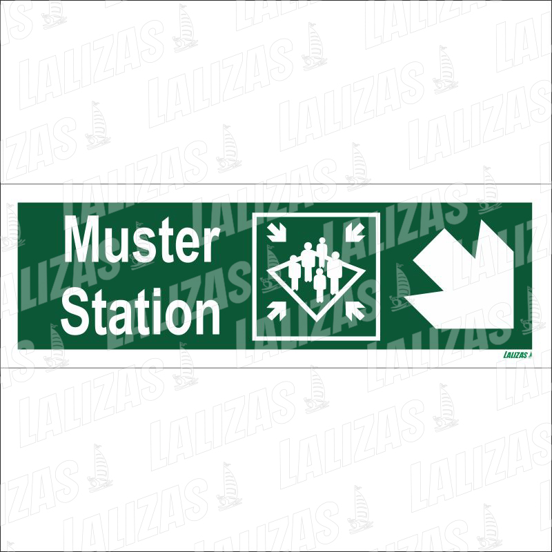 Muster Station/ Arrow 45Deg Down (R) image
